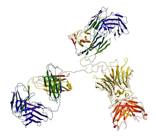 A stylized illustration depicting the gut-brain axis, with neurons and microbial cells intertwined, illustrating communication pathways between the digestive system and the brain. Use vibrant colors to highlight activity.