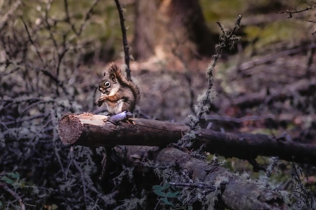 Climate Change’s Impact on US Ecosystems: New Research on Biodiversity Loss