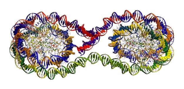 A detailed, colorful illustration of DNA strands intertwining with cellular structures, symbolizing advanced genetic research and its impact on biological processes.
