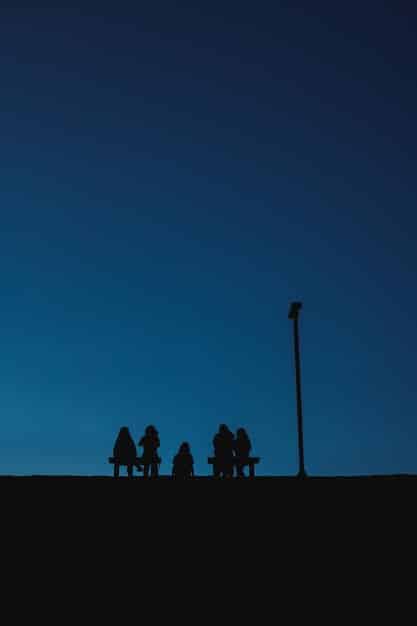 A group of people, including children and adults, are looking up at the night sky in a park, pointing towards a bright streak of light. There's a sense of wonder and shared observation.