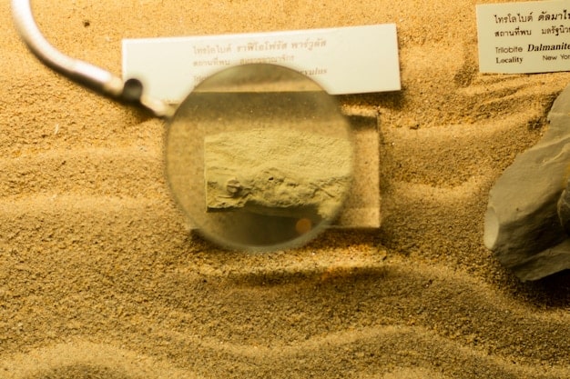 Carbon-14 Dating Update: 10% Accuracy Boost Reshapes US Archaeology Timelines