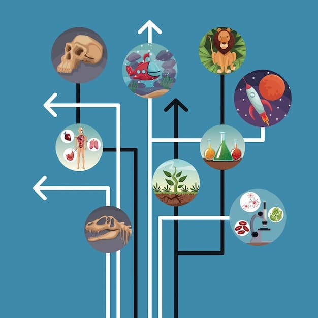 A detailed schematic illustrating the genetic flow of early human populations across North America, highlighting specific archaeological sites in the US where key ancient DNA samples were found, showing arrows indicating migration directions and probable timelines.