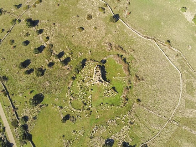 A drone's eye view of a green field, dotted with small archaeological dig sites, some covered for protection while others show active research, representing a balance between conservation and ongoing study.