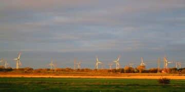 US Energy Policy Update: Roadmap to Net-Zero Emissions by 2050 - Cover Image