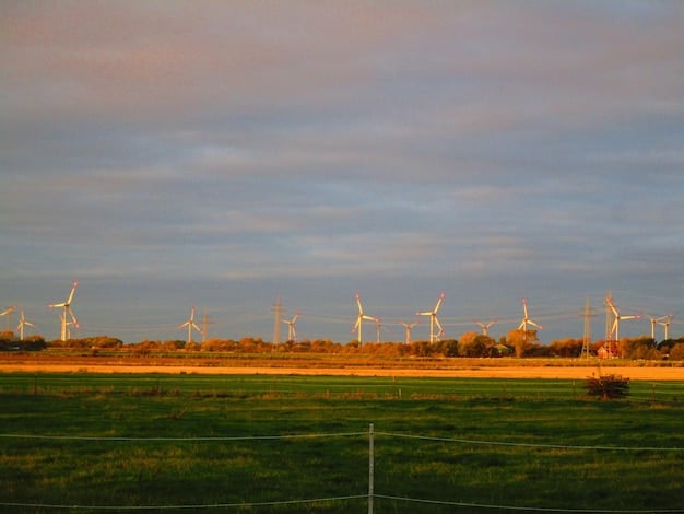 US Energy Policy Update: Roadmap to Net-Zero Emissions by 2050