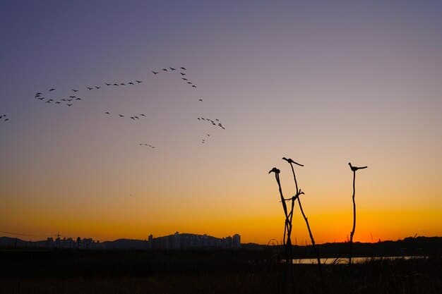 An image of a wind farm at sunset with birds flying around the turbines, symbolizing renewable energy and environmental sustainability. The warm colors of the sunset create a hopeful and positive atmosphere.