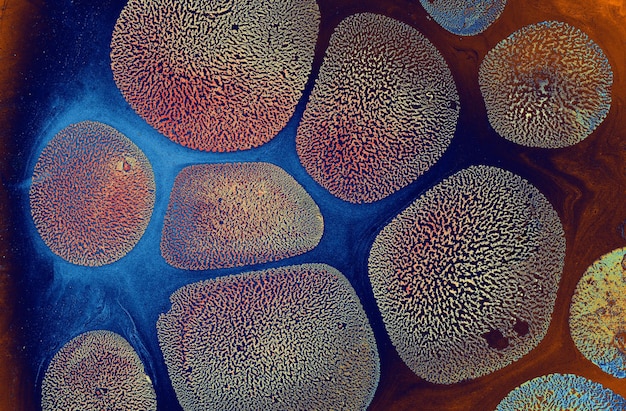A microscopic image of senescent cells, stained to highlight their unique characteristics. The image should clearly show the morphological differences between senescent and normal cells. A brief caption explains the significance of senescent cells in aging.