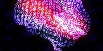 The Science of Consciousness: Unraveling Subjective Experience - Cover Image