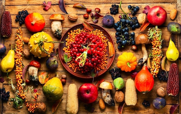 The Science of Nutrition: New Guidelines Based on Gut Microbiome Research
