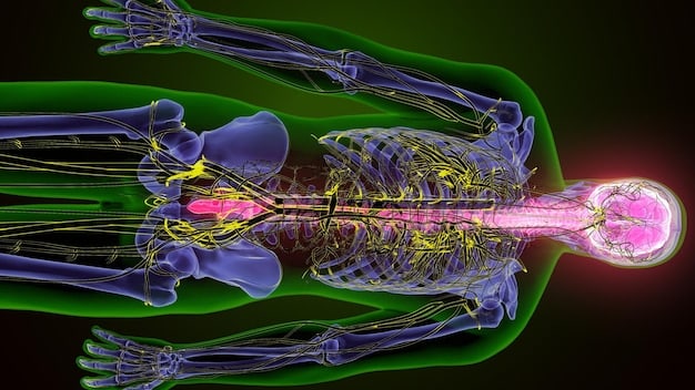 A medical illustration showing the effects of microgravity on the human skeleton, highlighting areas prone to bone loss during long-duration space missions, related to 'What are the potential health risks associated with long-duration space travel, and how are US researchers working to mitigate them by 2028?'.