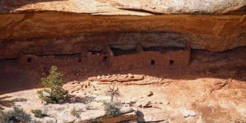 The Ethics of Archaeological Excavation: Respecting Native American Heritage - Cover Image