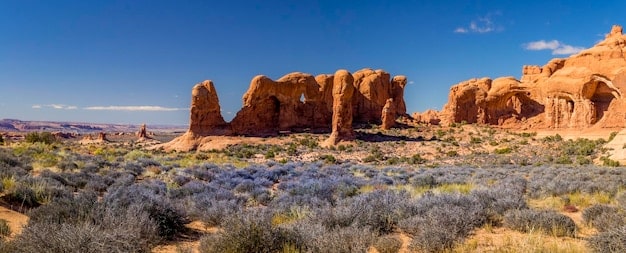 New Fossil Finds: Unearthing the Earliest Humans in North America