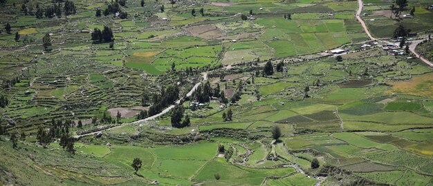 An aerial view of ancient terraced fields in a mountainous region of the Andes. The terraces are well-preserved and cover a large area, showing the scale of the farming system. The scene illustrates the ingenuity of ancient peoples in adapting to difficult terrain for agricultural purposes.
