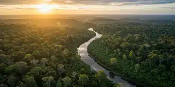 Lush rainforest canopy with winding river at sunrise, symbolizing sustainable tourism and preservation efforts.